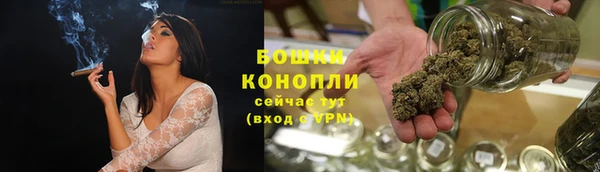 трава Медвежьегорск