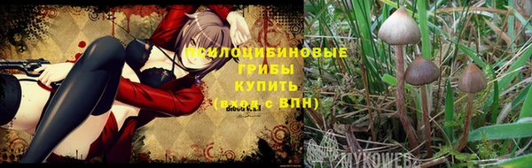прущие крисы Медногорск