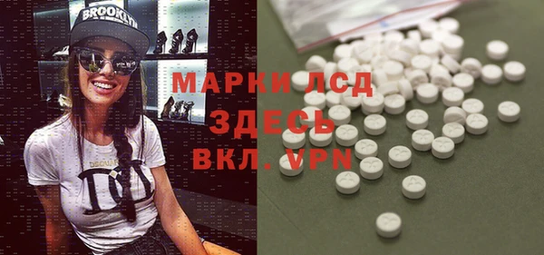 трава Медвежьегорск