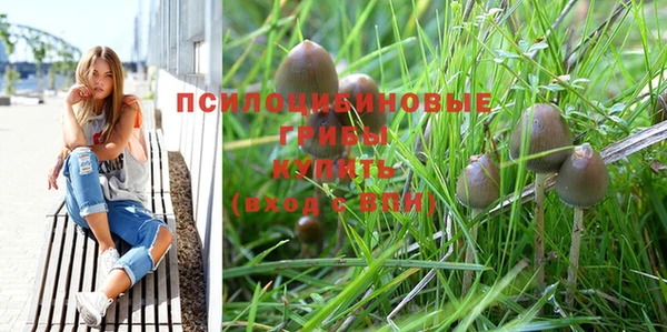 прущие крисы Медногорск