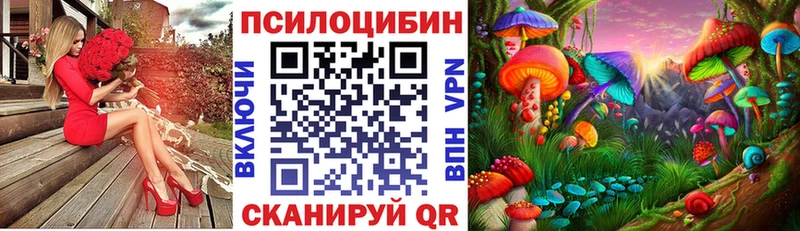 Псилоцибиновые грибы Cubensis Цивильск