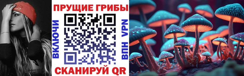 Псилоцибиновые грибы MAGIC MUSHROOMS  Купить закладки  Цивильск 