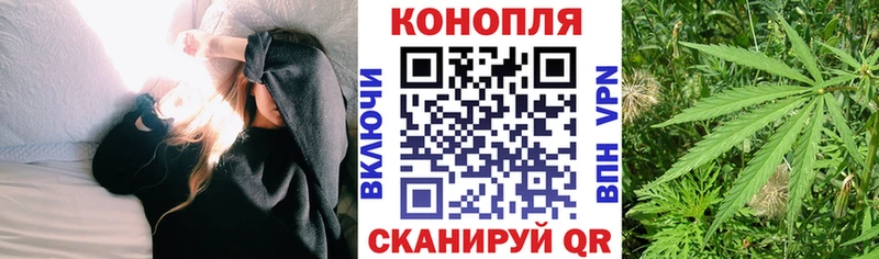 Конопля AK-47 Купить где Цивильск